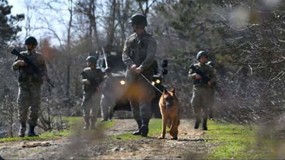 Türkiye'den Yunanistan'a kaçmaya çalışan 9 kişi yakalandı