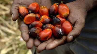 Endonezya’da eski bir belediye başkanının kendi kölelik sistemini kurduğu ortaya çıktı