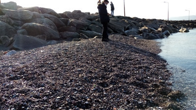 Bandırma’da 20 gün önce çekilen su eski haline gelmedi