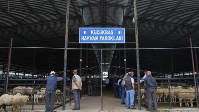 Kütahya’da hayvan pazarı küçükbaş hayvan girişlerine kapatıldı