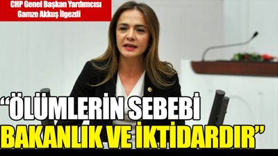 İlgezdi: Ölümlerin sebebi bakanlık ve iktidardır