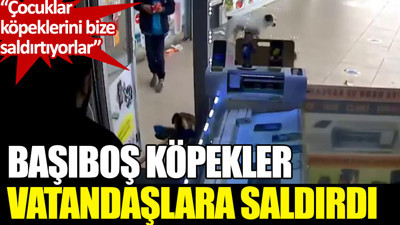 Başıboş köpekler vatandaşlara saldırdı