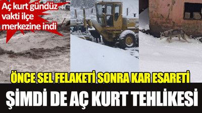 Önce sel felaketi sonra kar esareti şimdi de aç kurt tehlikesi