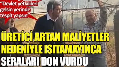 Üretici artan maliyetler nedeniyle ısıtamayınca seraları don vurdu