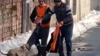 Montu olmasaydı dehşeti yaşayacaktı