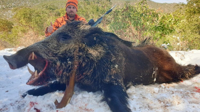 Dev domuzu tek atışta vurdu
