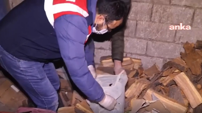 92 tüp yılan zehri ele geçirildi!