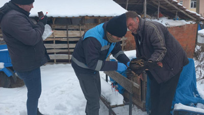 Pazarlar’da tavuk vebası taraması başladı