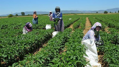 Tarım Bakanı Bekir Pakdemirli 'memnun': Çiftçimiz artık daha az borçlu