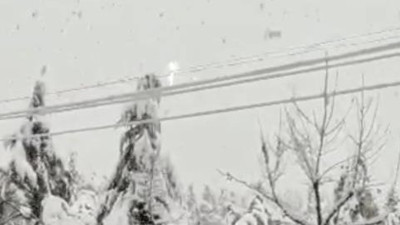 Kar elektrik tellerini kopardı
