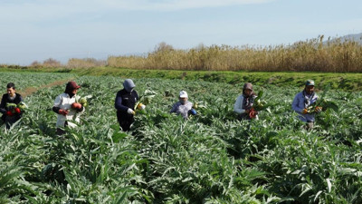 Faydaları saymakla bitmiyor