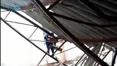 Çatı deve kuşlarının üstüne çöktü