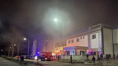 Düzce'deki fabrikada çıkan yangın hasara yol açtı