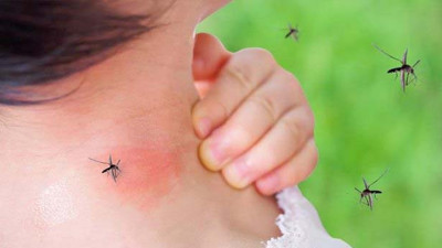 Sivrisineklerin en fazla ısırdığı insanlar belli oldu. Sakın bu renkleri giymeyin