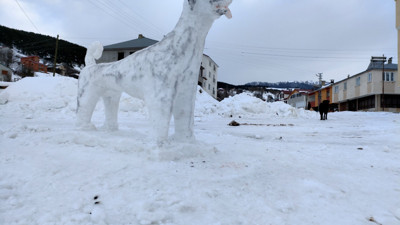 Kardan Kangal köpek yaptılar