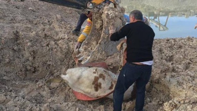 Batalıkta mahsur kalan inekler kurtarıldı