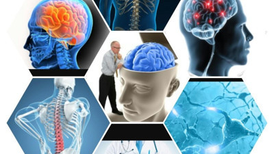 Nöroloji bölümü hangi hastalıklara bakar?