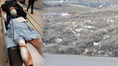 Köpek sürüsünün saldırdığı vatandaş canını zor kurtardı