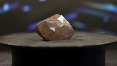 'Dünyanın en büyük siyah elması' 3 milyon 161 bin sterline satıldı