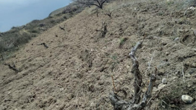 Nevşehir Ürgüp'te icradan satılık bağ