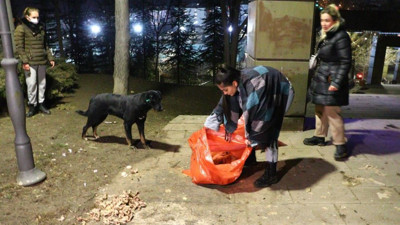 8 yavru köpeği zehirle öldürdüler