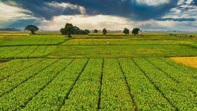 Çiftçilerin tepkisi ses getirdi! Tarım Kredi Kooperatifleri geri adım attı