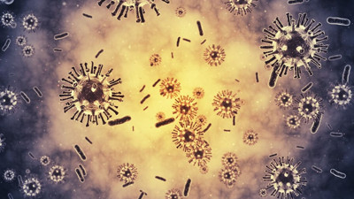 Lassa virüsü nedir? Nasıl bulaşır? Belirtileri nelerdir?