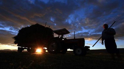 Verileri SGK açıkladı: 45 bin çiftçi tarlasına küstürüldü