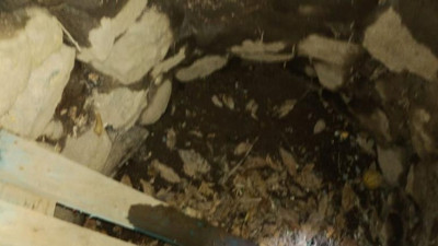 Define avcıları buldu Jandarma koruma altına aldı