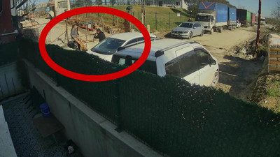 İstanbul’da pitbull dehşeti! Esnafın köpeğini elinden zor kurtardılar. Onlarca sopa darbesi bile durduramadı