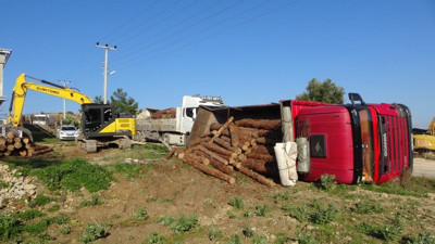 Tomruk yüklü kamyon devirdi