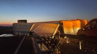 Cadde portakal bahçesine döndü