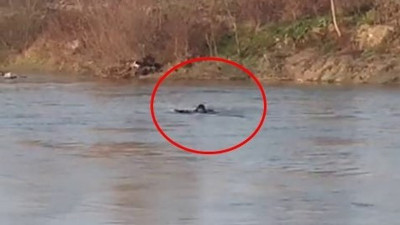 Kovalanan genç ölüme kulaç attı