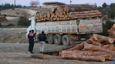 Kamyondan düşen tomruğun altında kalan işçi hayatını kaybetti