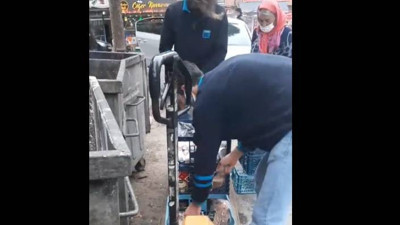 Yürek burkan video! Çöpe atılan bozuk etleri yalvararak istedi