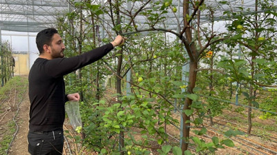 Papaz bile fiyatını duysa korkup kaçar