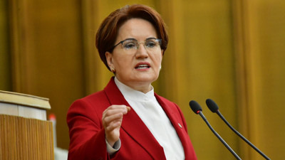 Tarkan’ın yeni şarkısına Meral Akşener'den destek