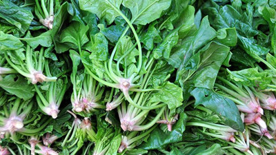 Ispanağın 8 faydası