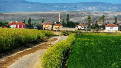 Nevşehir Gülşehir'de icradan satılık bina ve tarla