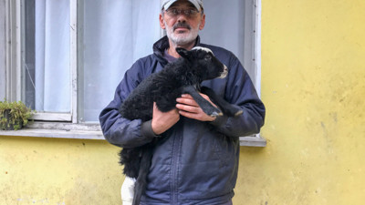 Bacağı kırılan kuzusunu Devlet Hastanesi'ne götürdü
