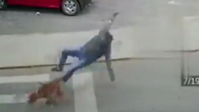 Yayaya köpek çarptı