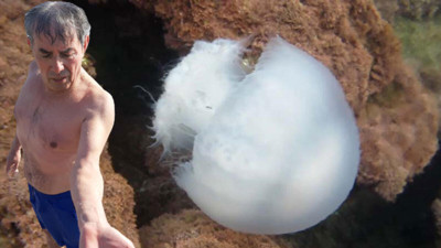 Profesörü denizanası çarptı! Meslektaşı 'Sakın bunu yapmayın’ diyerek uyardı