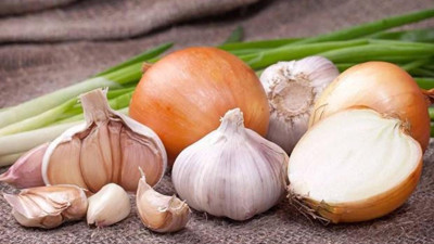 Bu C vitamini deposu iki kardeş bağışıklık sistemini güçlendiriyor