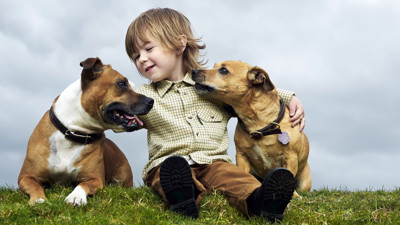 Çocuklara hayvan sevgisini aşılamak için bunları yapın