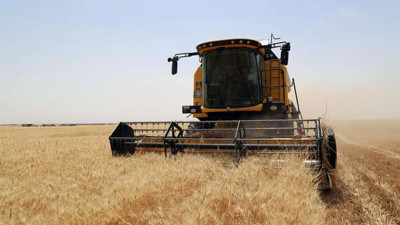 Ulusal Hububat Konseyi’nden buğday açıklaması