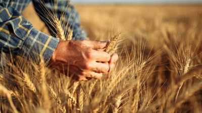 Rusya’nın Ukrayna’ya saldırısı sonrası gıda krizi kapıda. Listede Türkiye de var