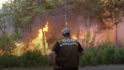 Bakan Bekir Pakdemirli duyurdu '5 bin kişi işe alacağız'