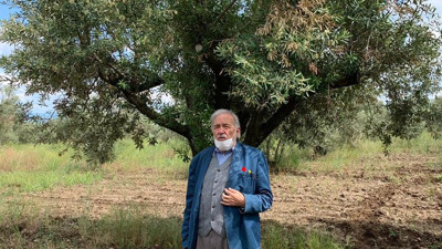 İlber Ortaylı zeytinliklerin ranta açılmasına ateş püskürdü