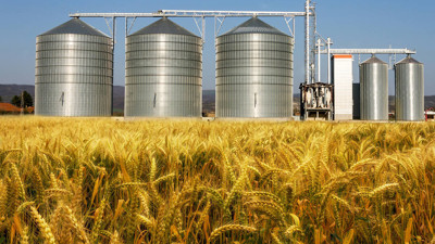 Buğdayın fiyatlarını uçuran ihale