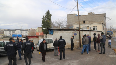 Elektrik akımına kapılan 4 büyükbaş hayvan telef oldu